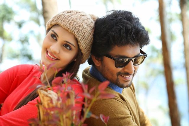 What do Nani heroines doing now