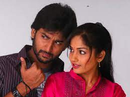 What do Nani heroines doing now