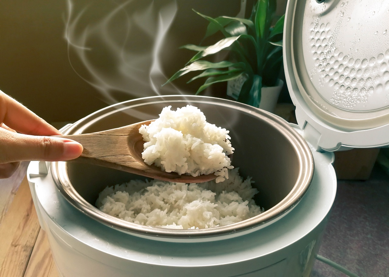 electric cooker 1