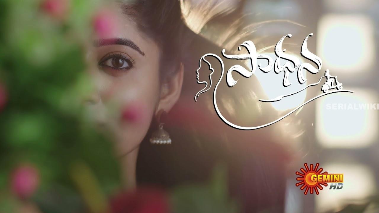 Sadhana Telugu Serial Story, Cast and Streaming Time