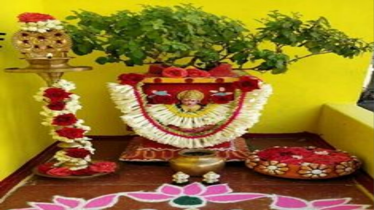 Tulasi tree