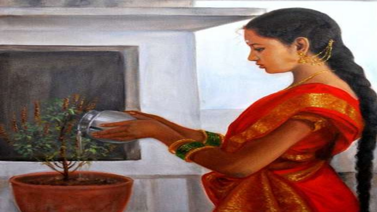 Watering tulasi plant
