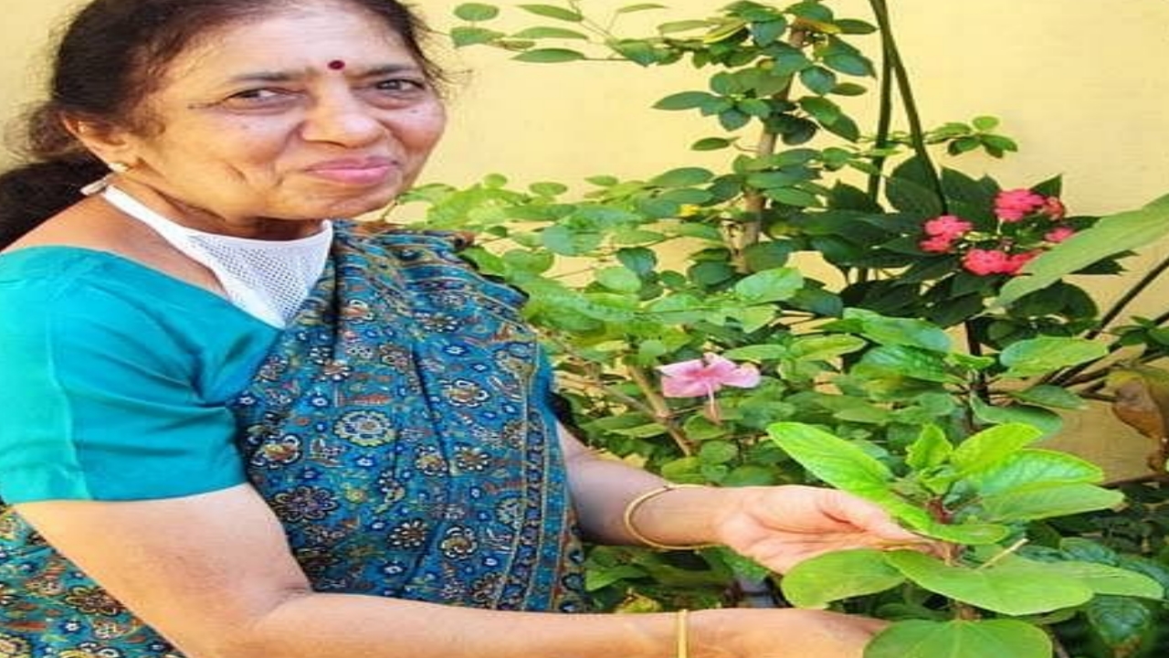 Nalini satyanarayan