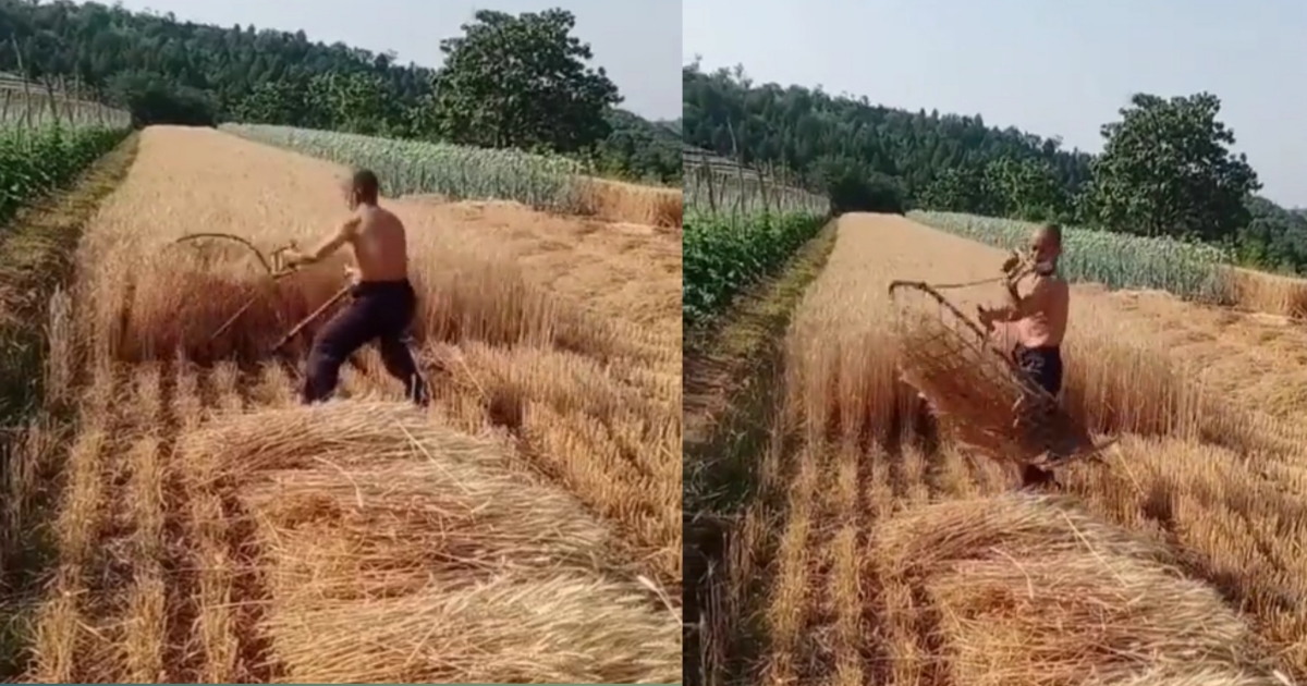 Smart farmer