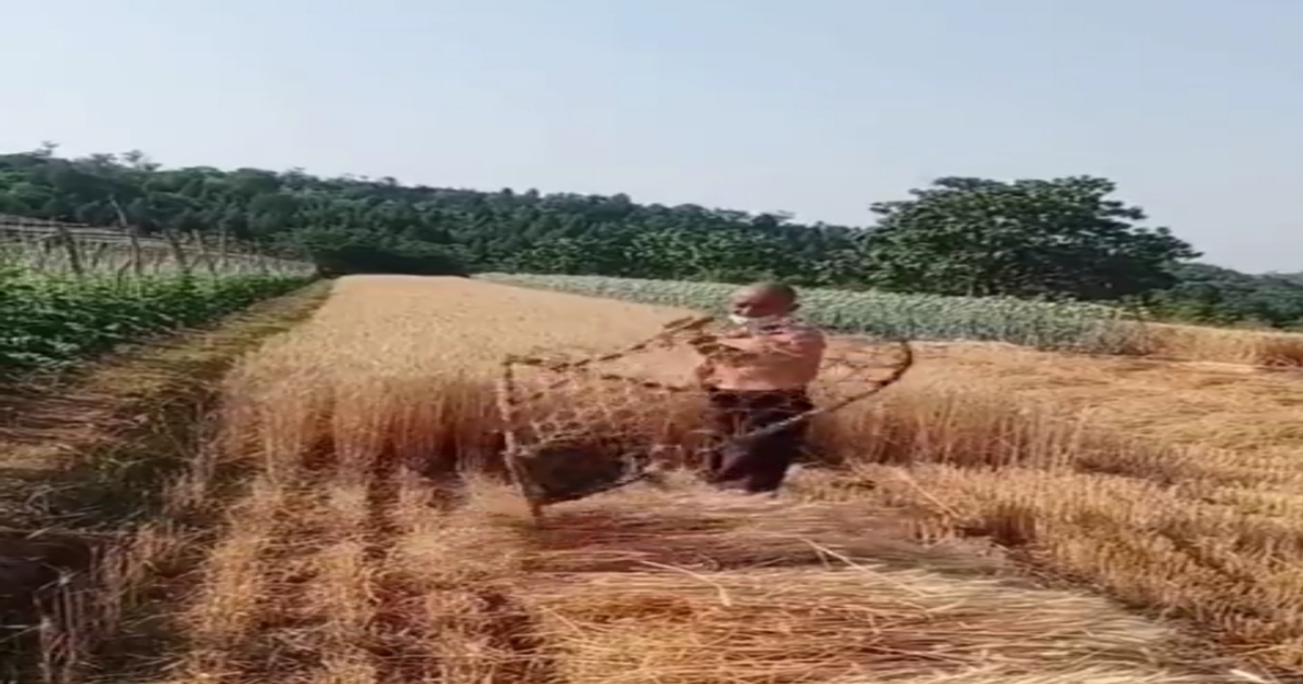 Smart farmer new technic