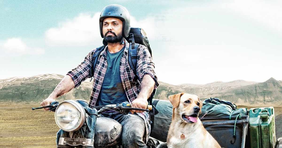 777 charlie movie review