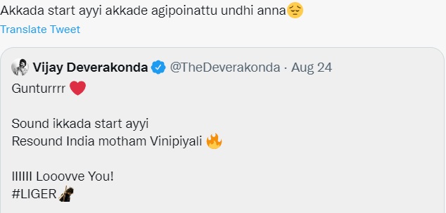 funny tweets on liger movie review