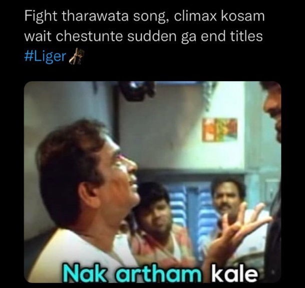 funny tweets on liger movie review