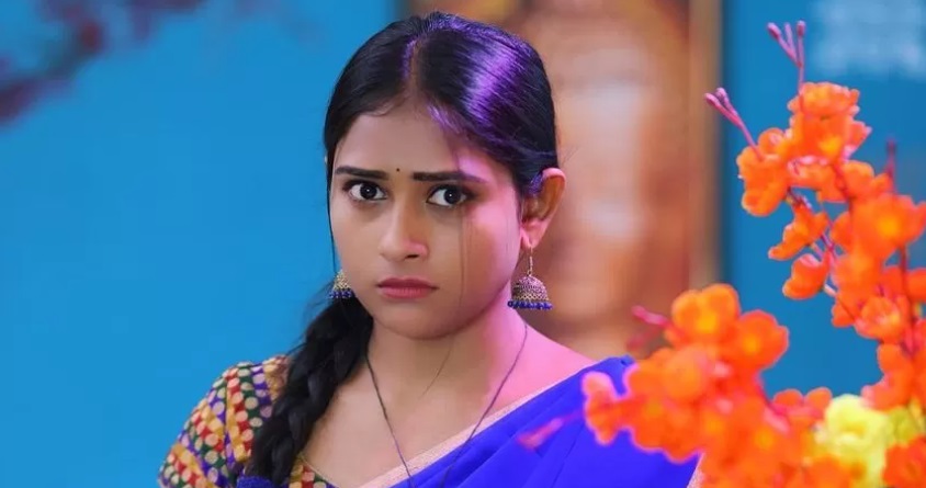 bigg boss telugu 6 final contestants list