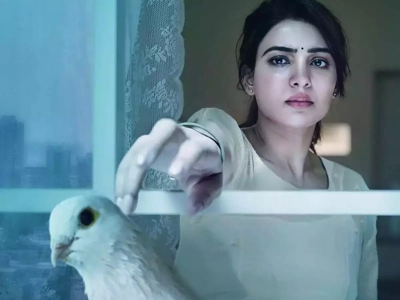 will these become plus or minus to samantha yashoda movie
