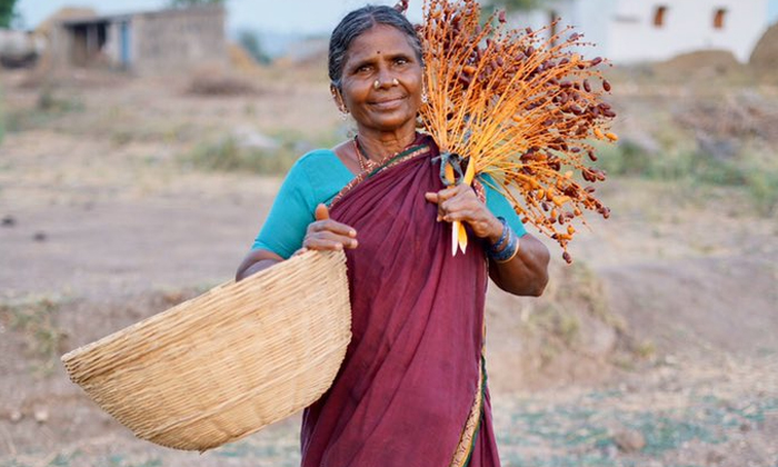 gangavva remunaration and income details..