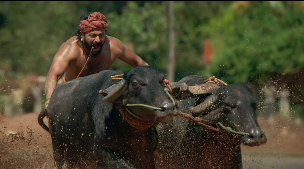 geetha arts is getting huge profits with kanthara movie..