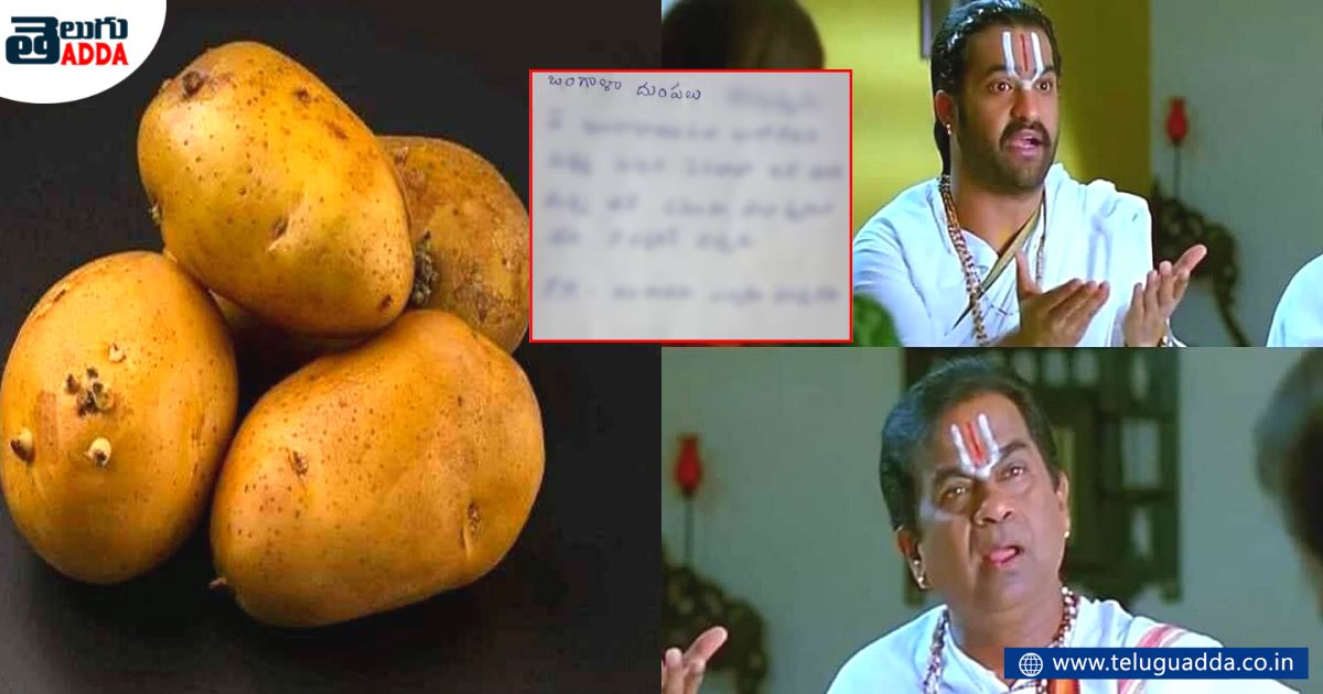 meme on potato comparing with life