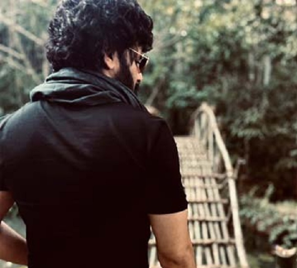 what is the link between pushpa and nithin's new movie..?? 