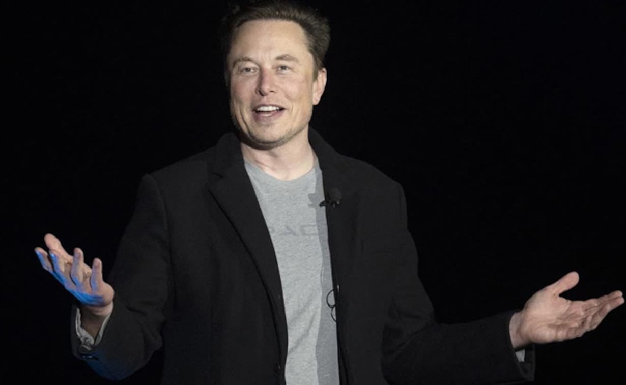 why elon musk targetted vijaya gadde..??