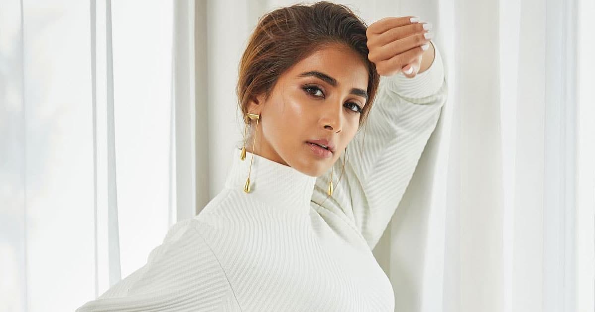 anchor questions pooja hegde about her famous film..!!