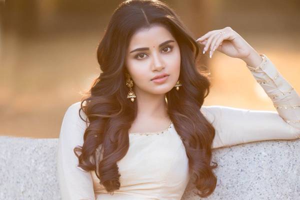 anupama reaction about dj tillu sequel..