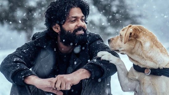 brillient actors of this year..