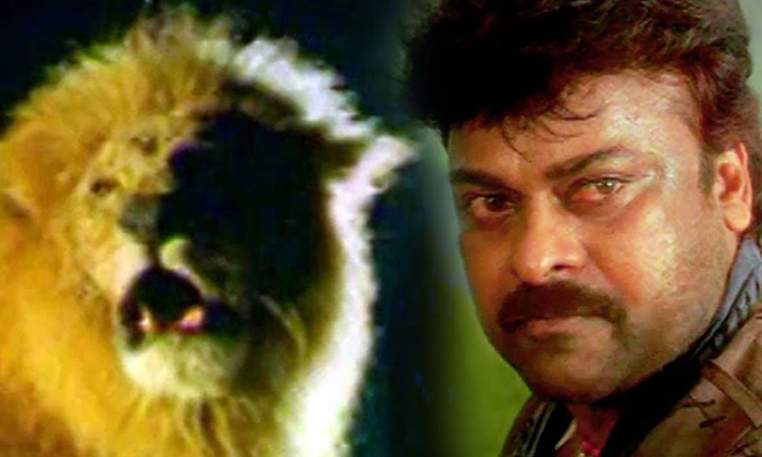 movies in which animals play key roles..