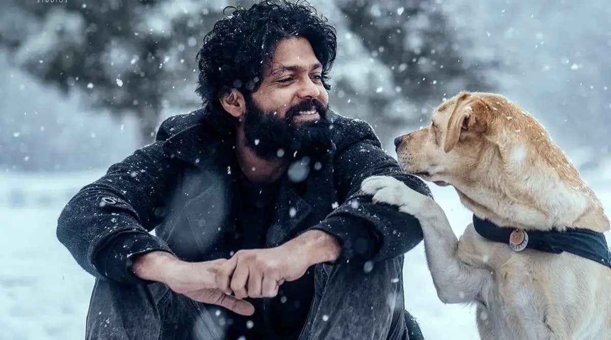 movies in which animals play key roles..