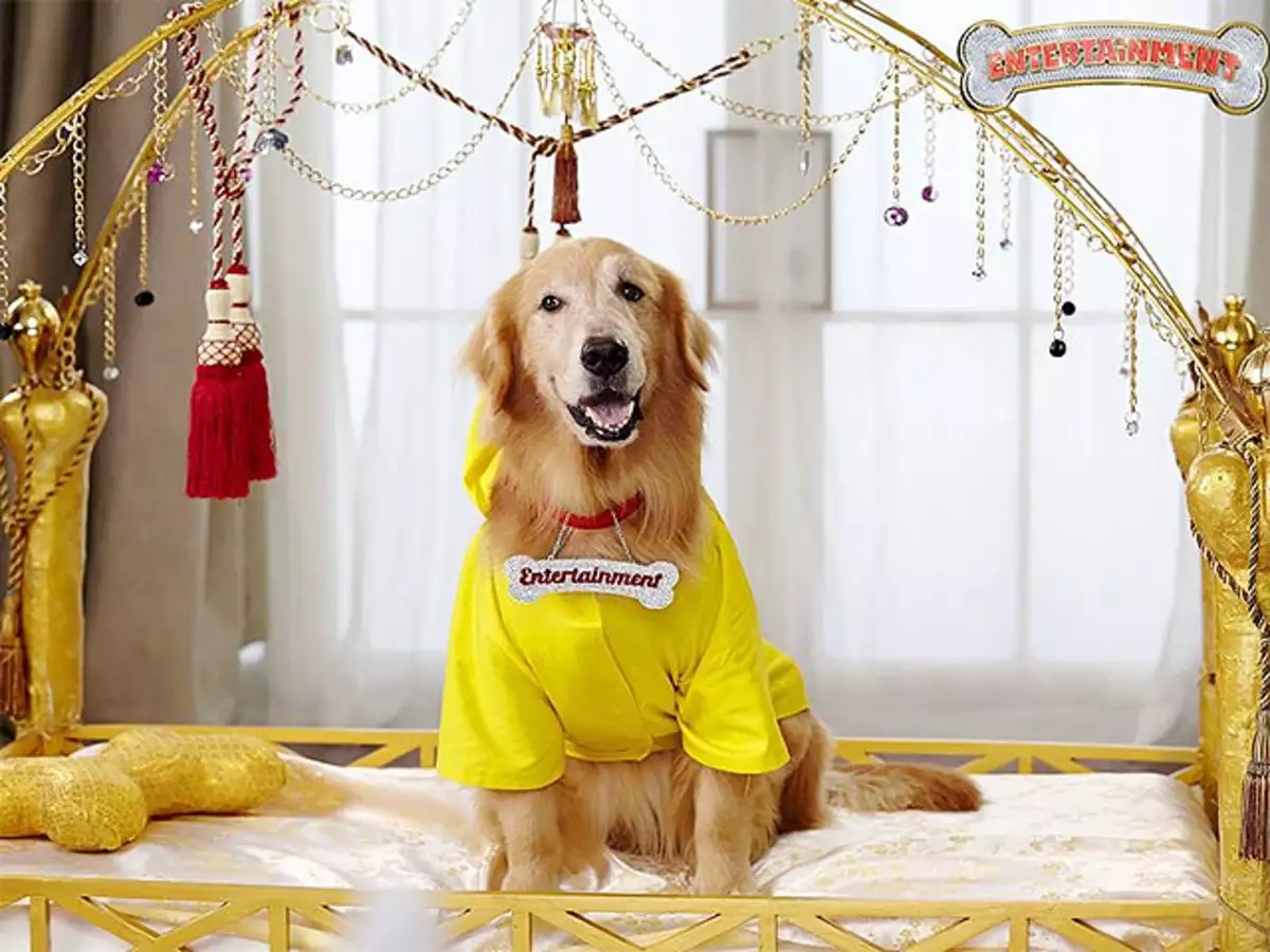 movies in which animals play key roles..