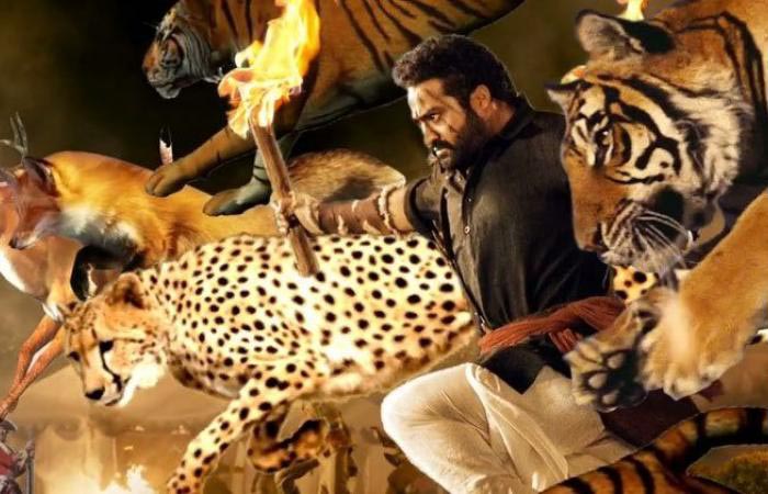 movies in which animals play key roles..