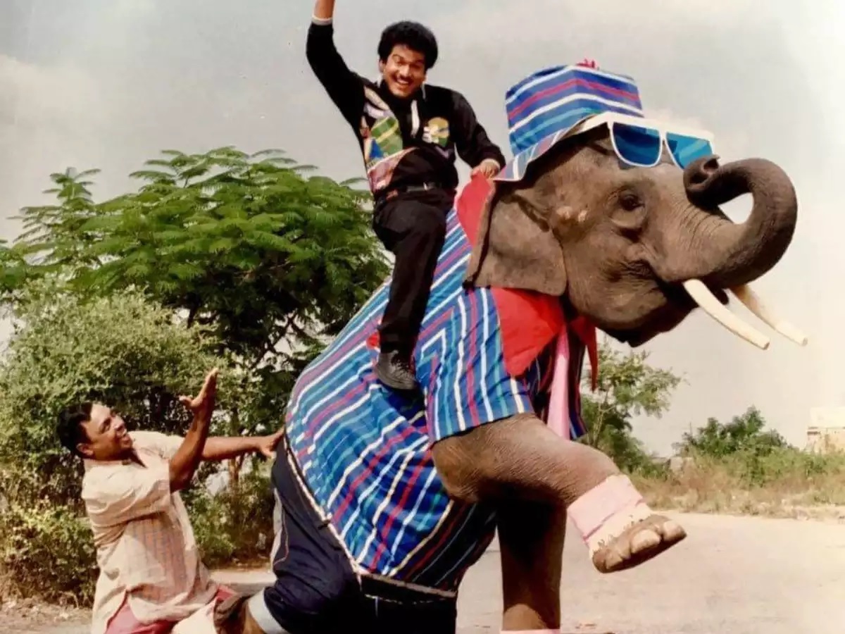 movies in which animals play key roles..