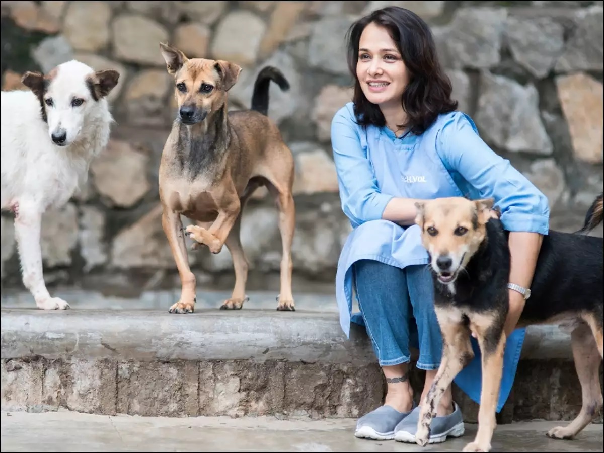 netizen questions nagarjuna about street dogs..