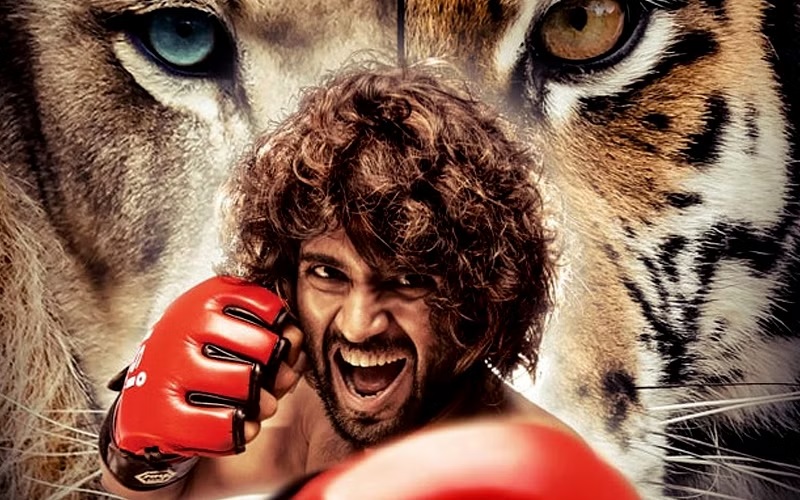 WORST ROLES BY TOLLYWOOD HEROS..