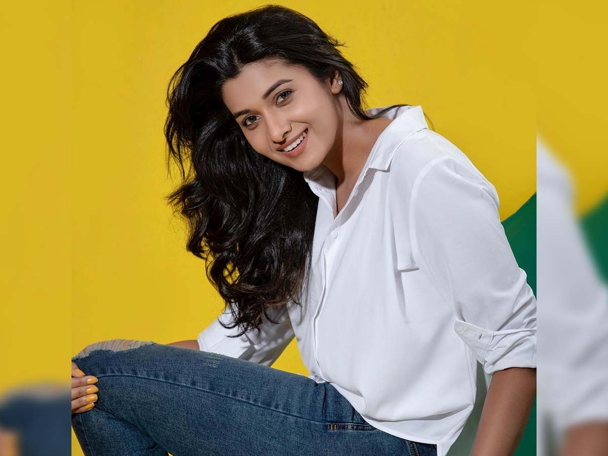 the heroines who are making debeu in tollywood this year.. 