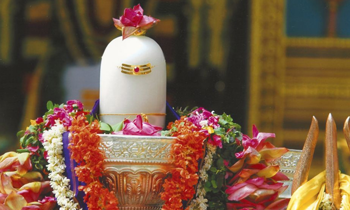 why turmeric and sindhoor not used in lord shiva rituals..