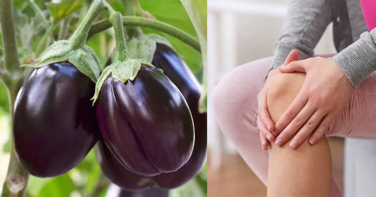Brinjal-side-effects2