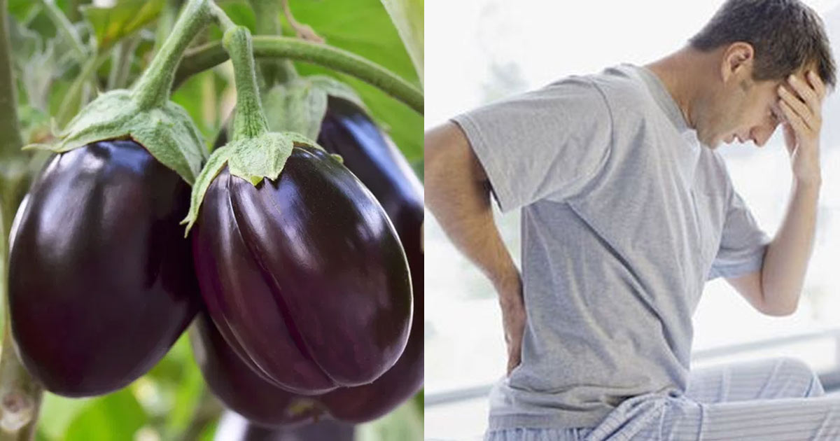 Brinjal-side-effects3