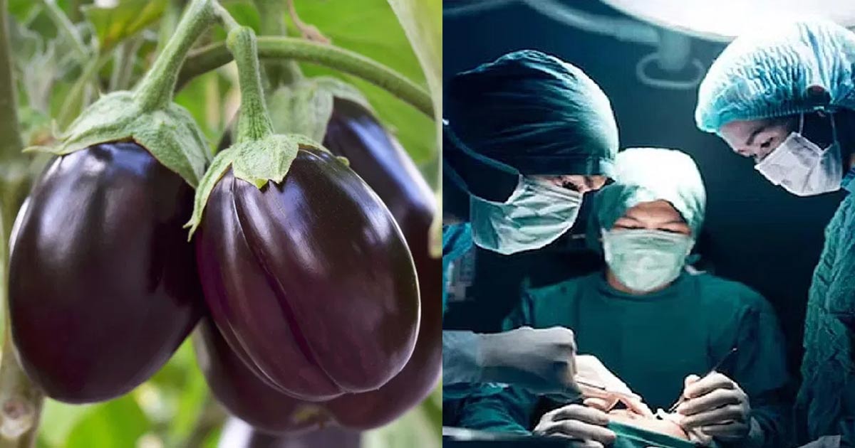 Brinjal-side-effects4