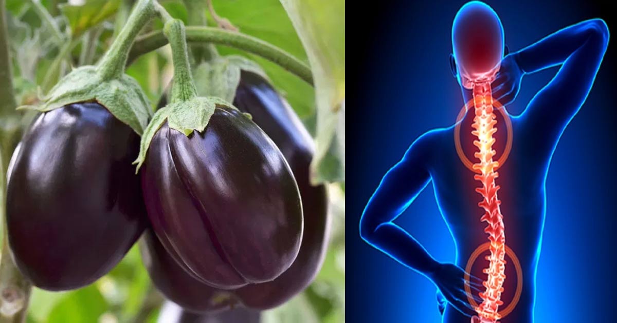 Brinjal-side-effects6