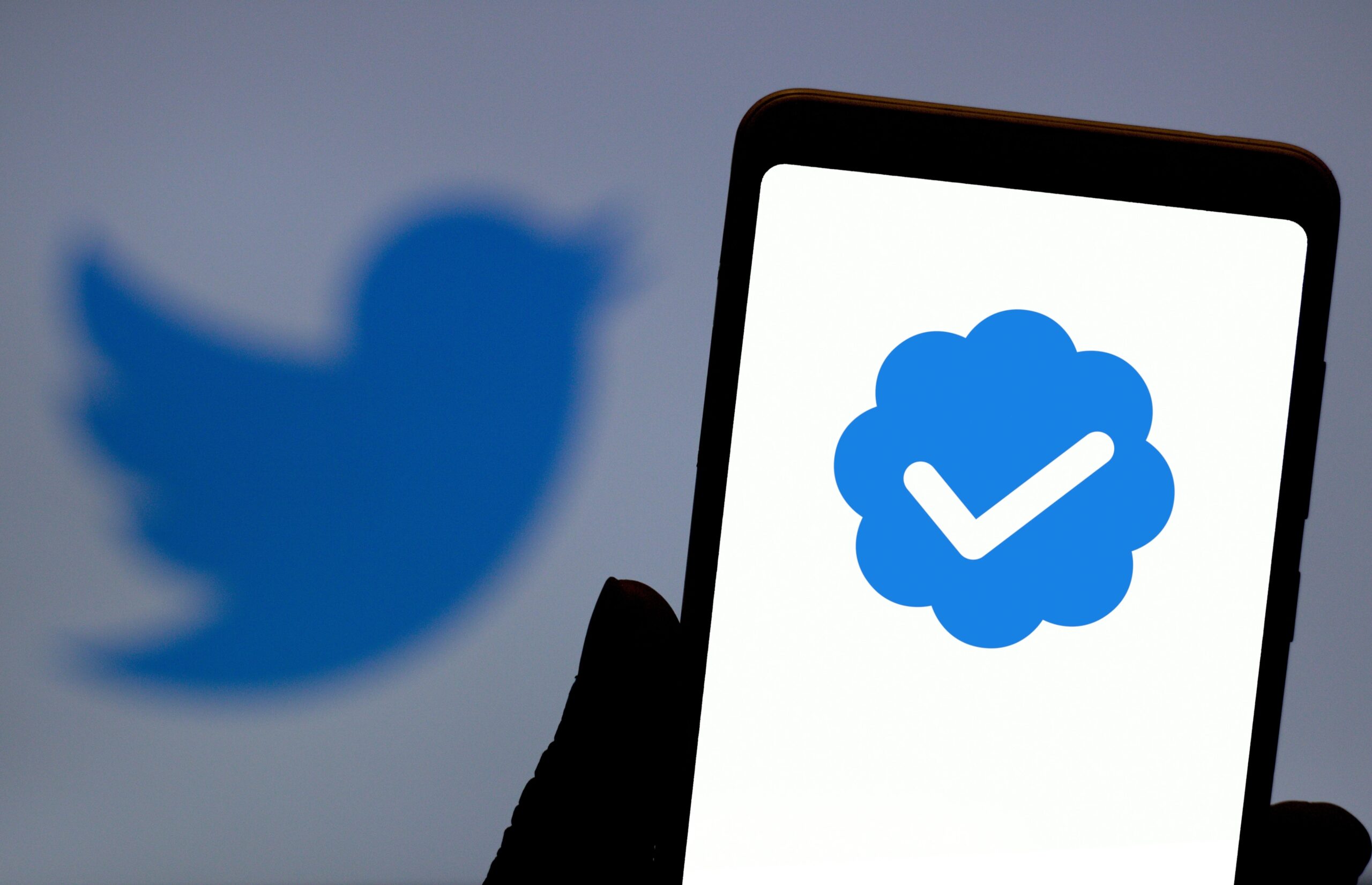 why these celebreties twitter accounts official tiks removed..!!