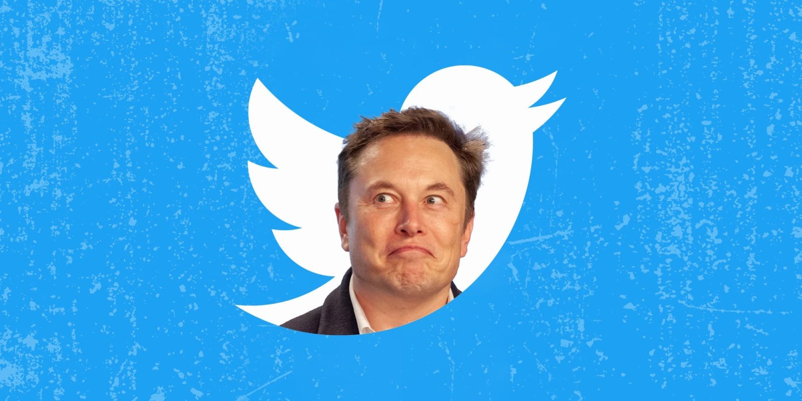 why these celebreties twitter accounts official tiks removed..!!
