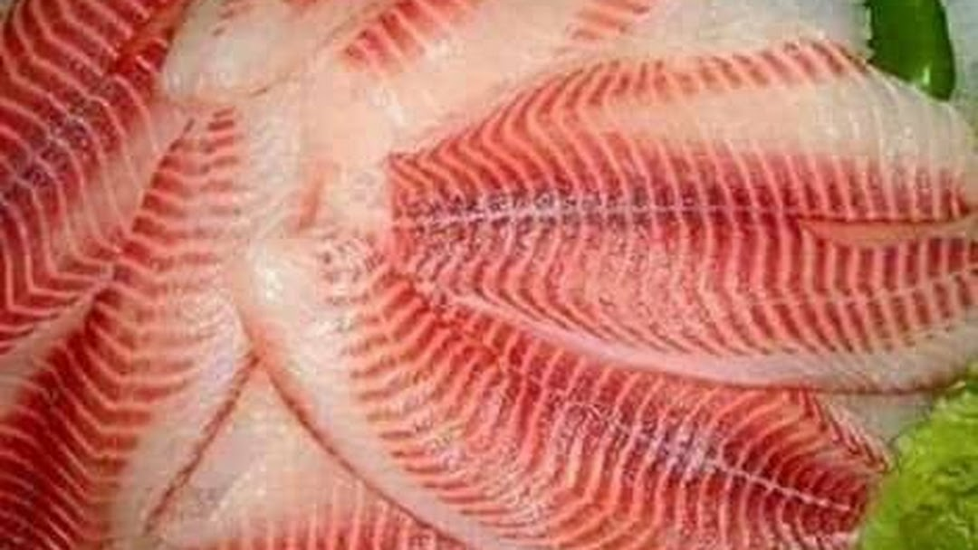 apollo fish in telugu