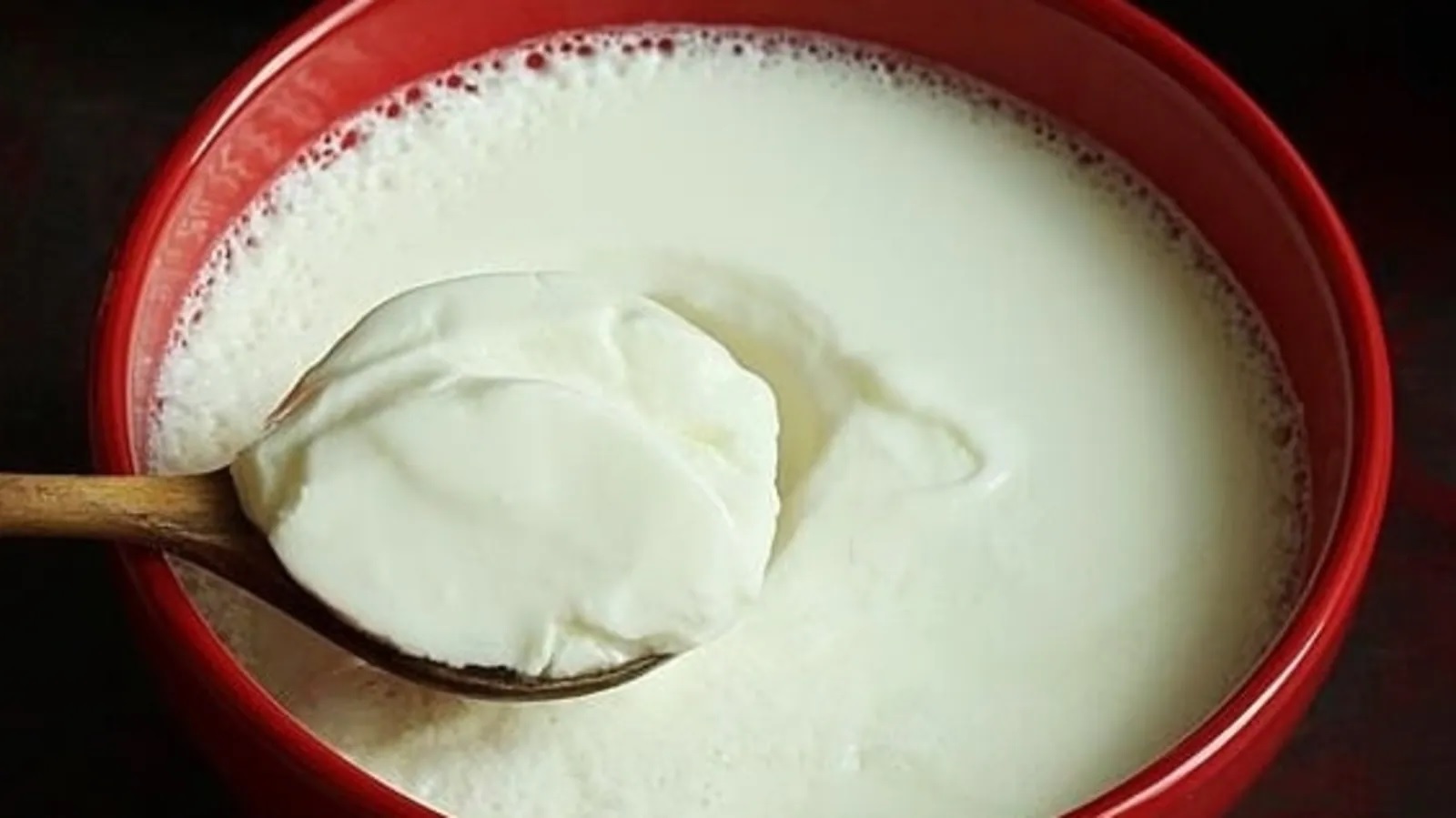 why curd and buttermilk have diffrent effects on body