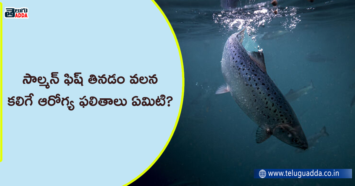 salmon fish uses in telugu