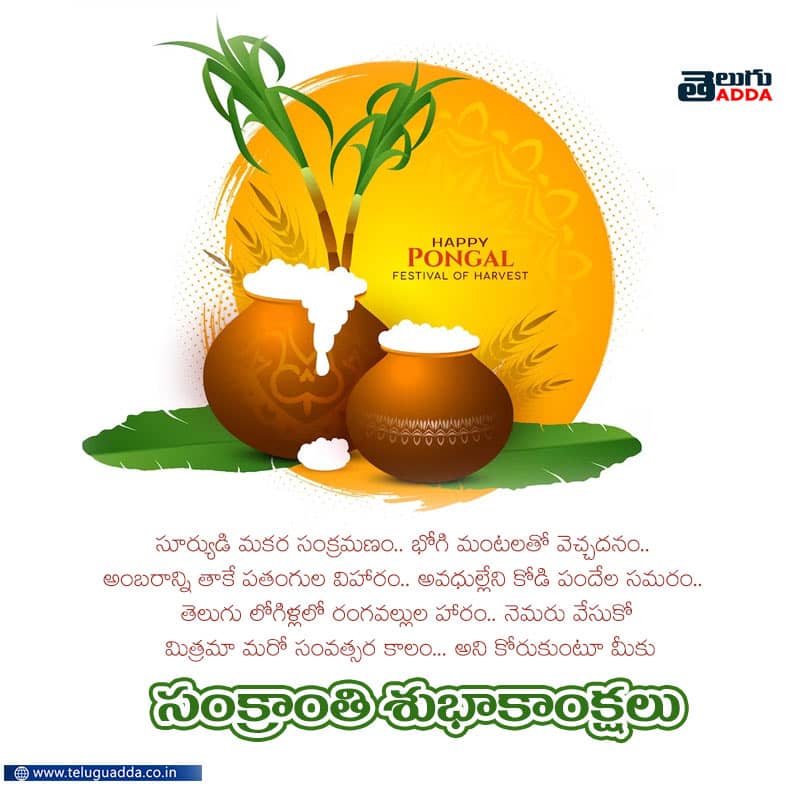 Happy Sankranti 2024 and Pongal Wishes, images, Greetings in Telugu