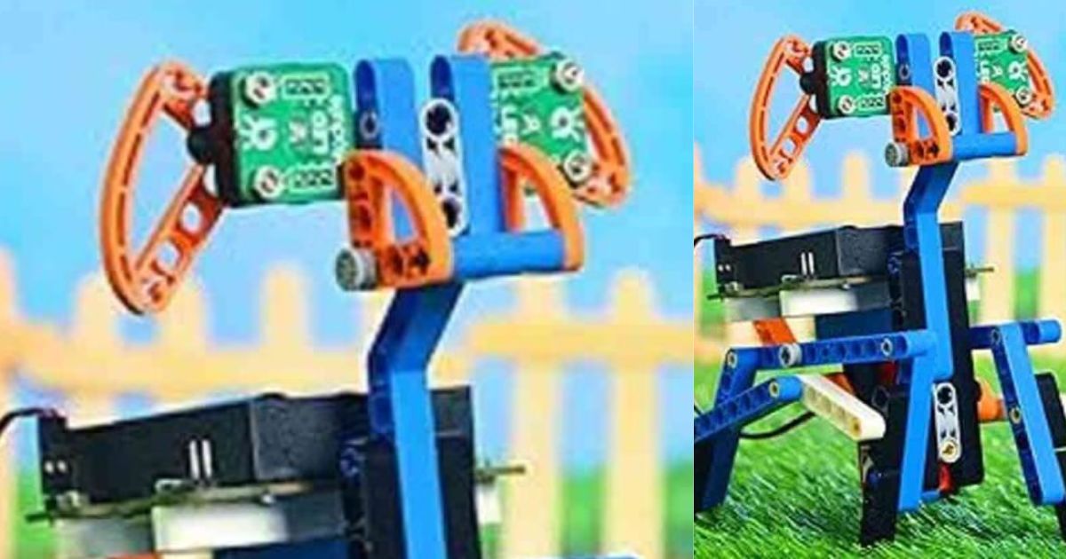 netra singh robotic pet invention