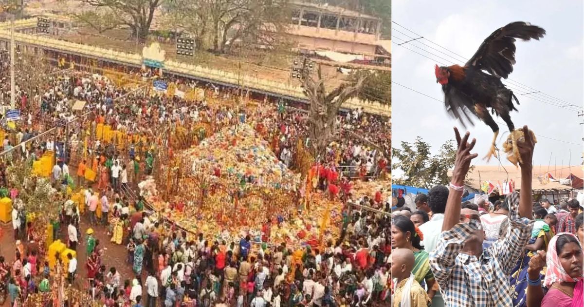 sammakka saralamma jatara hen