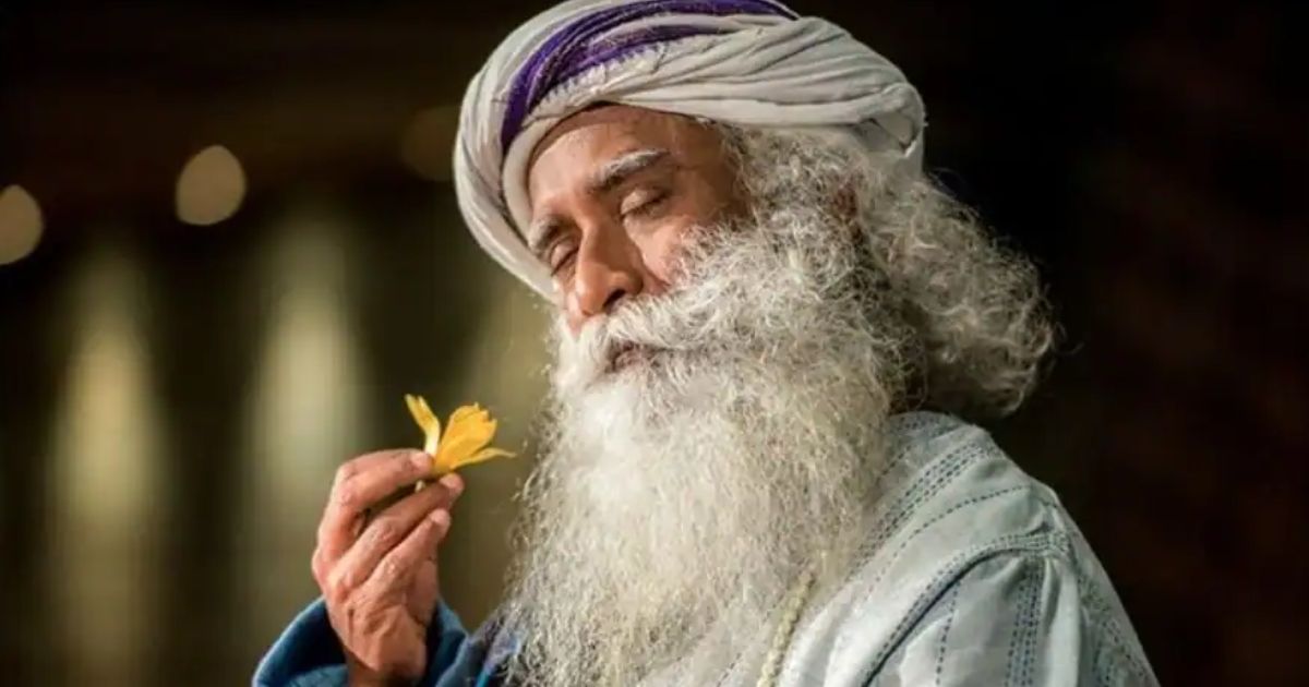 sadguru properties and earnings